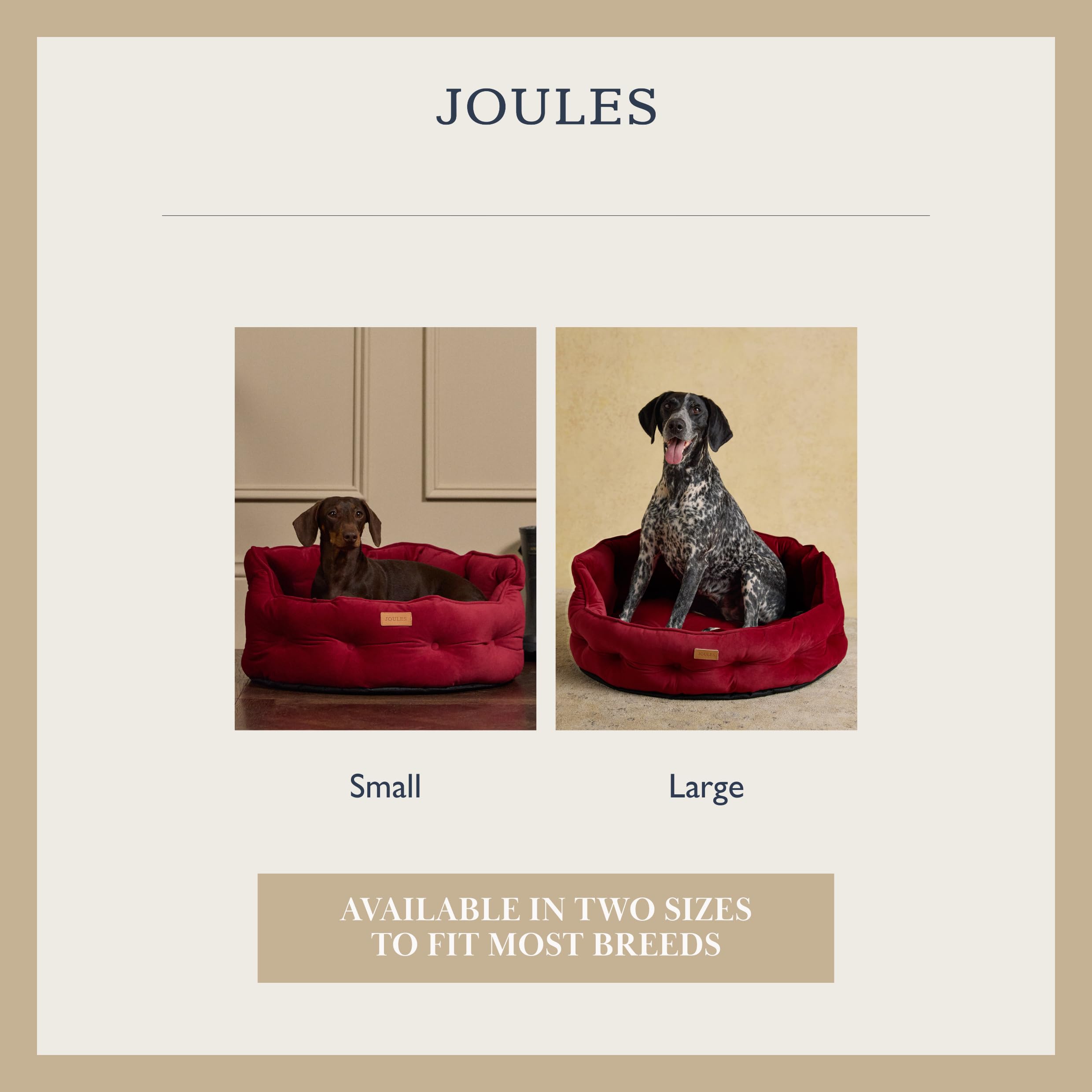 Rosewood x Joules - Cama Chesterfield para Mascotas, Grande, Cama de Terciopelo de Lujo para Perro con Base Antideslizante, Acolchado Adicional y cojín de Apoyo, diseño Elegante Inspirado en el sofá