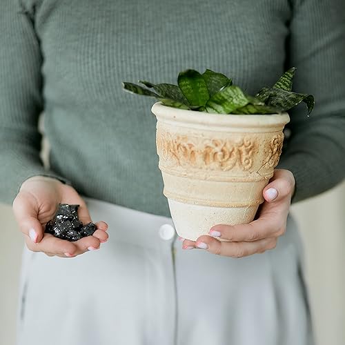 Miniatura 8 de Karelian Heritage Rocas de shungita Elite para purificación y filtrado de agua, 0,22 libras (0,0044-0,011 libras por piedra)  Piedras de shungita