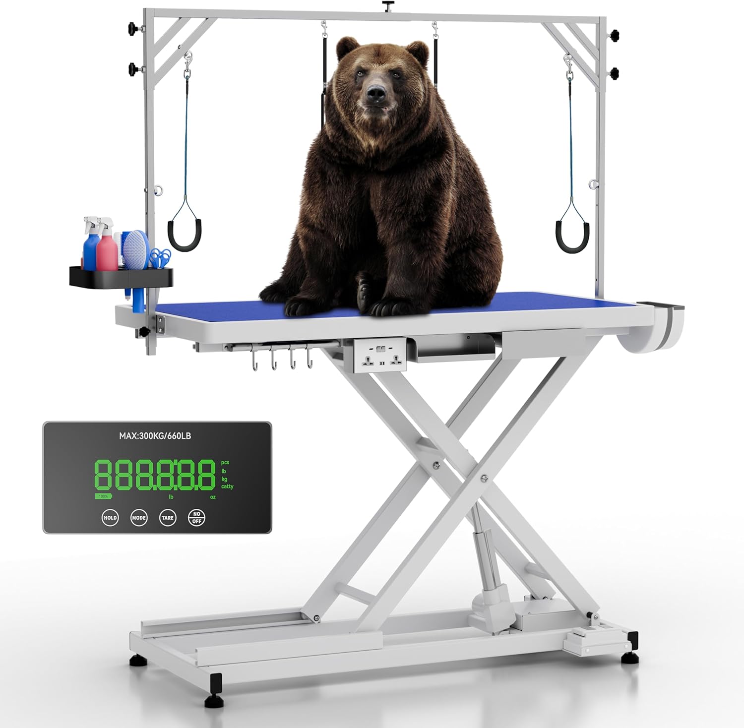 General Dog Care - ASPCA