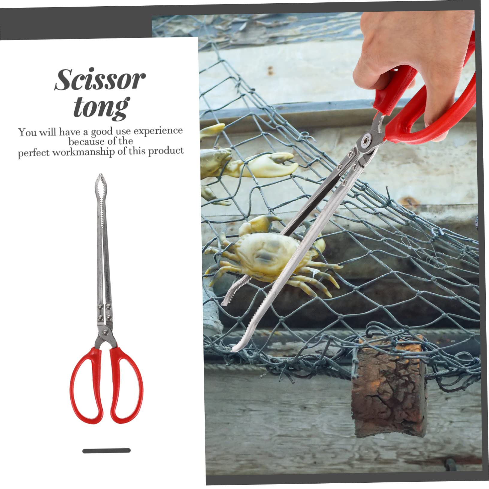 Pinza Inoxidable Multifunción para Acero de Portátil Cangrejos