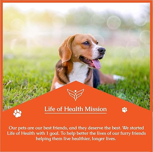 Miniatura 8 de Antibióticos naturales para perros | Antibióticos para perros | Tratamiento de infección del oído del perro | Alivio de la picazón del perro |