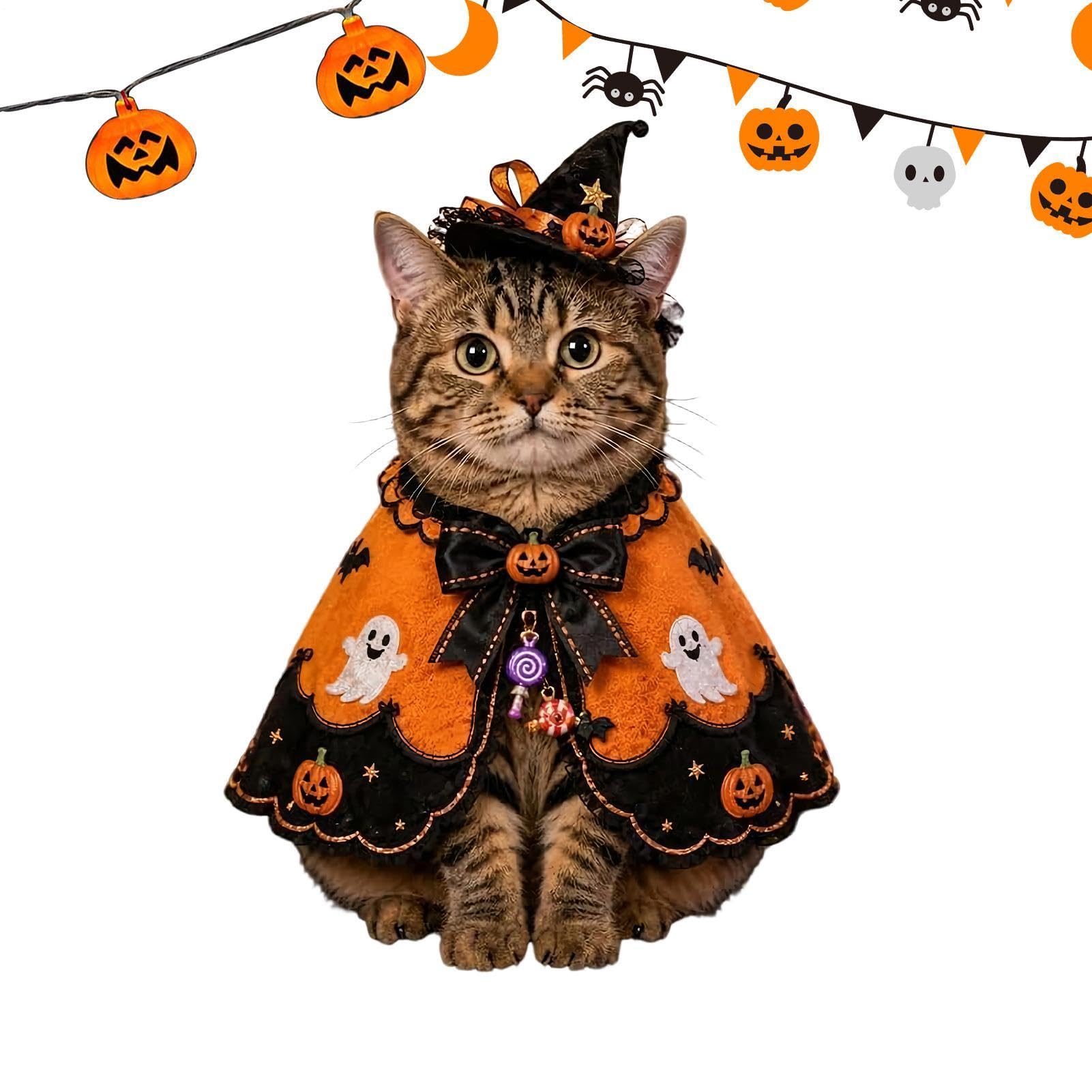 Ropa de juego de rol para gatos ideal para sesiones de fotos en exteriores