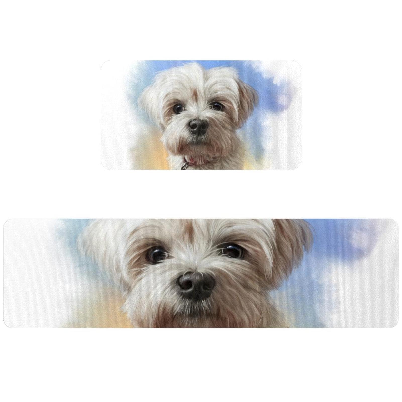 Tapete de cocina lavable de Shih Tzu: alfombras antideslizantes para pasillo y lavado