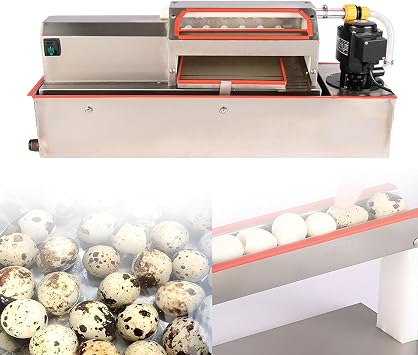 Automatic Quail Egg Shelling Machine, Electric Quail Egg Shelling Machine, Boiled Quail Egg Processing Shelling Tool