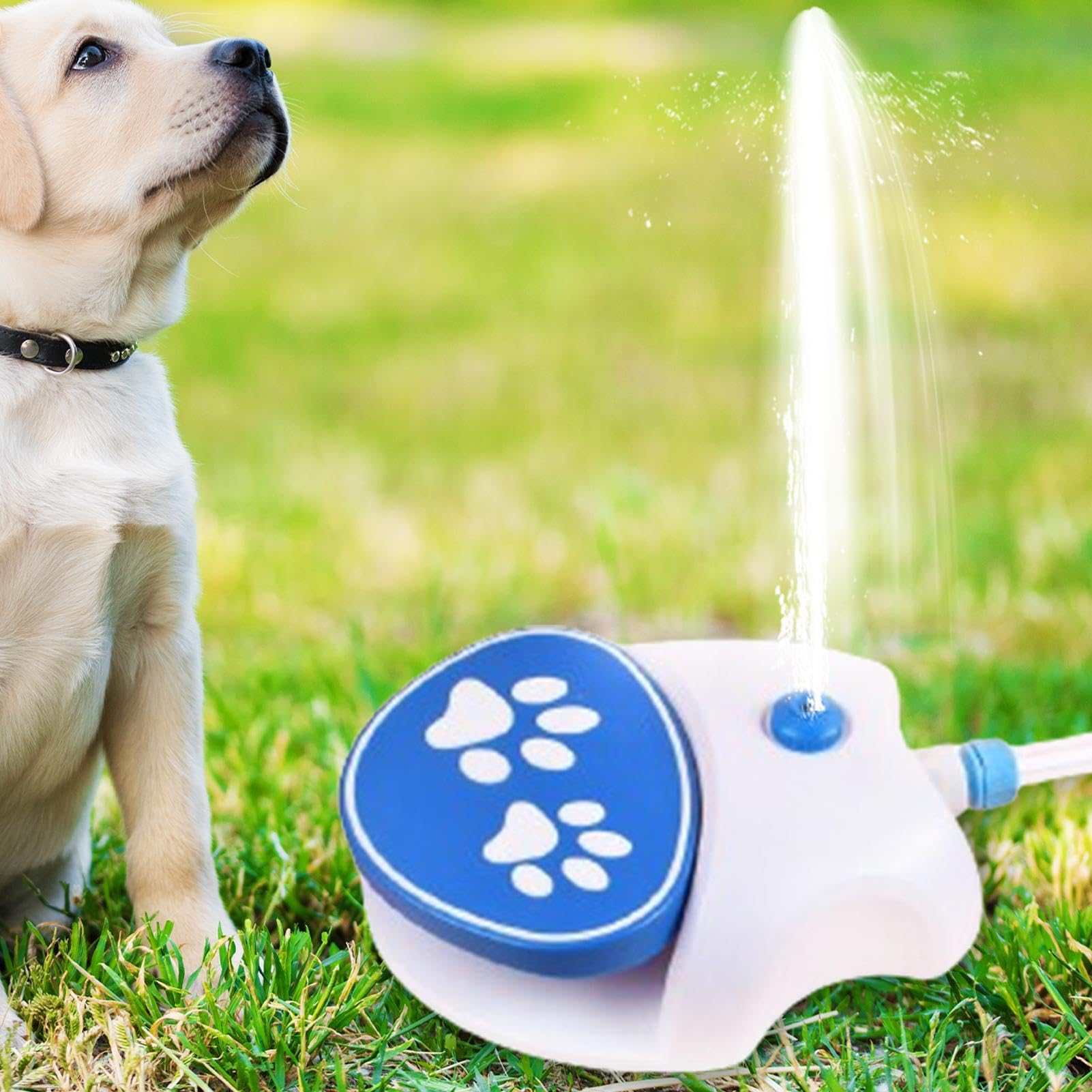 Fountain dla psów | tryskacz do wyciskania psi | Outdoor Dog Toy, zabawka dla psów, zraszacz do wody dla psów, zraszacz do picia dla psów Fountain Toy Press aktywowana Fountain Dog Sprinkler Toy