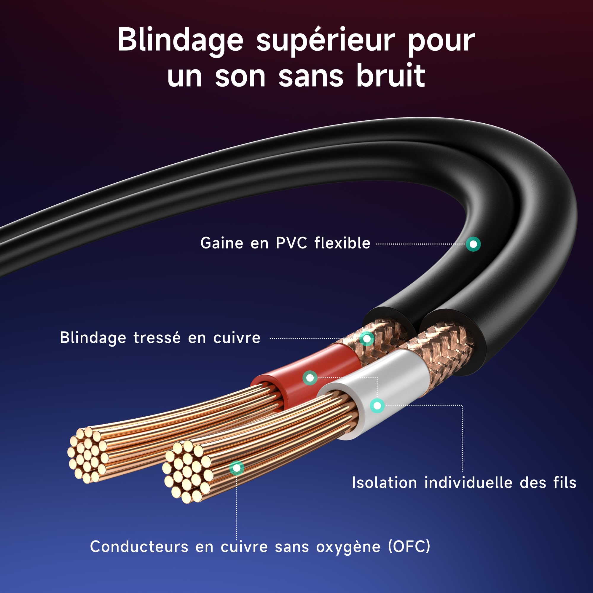 Cable Matters Câble XLR Mini Jack 3.5 mm, Cable Jack vers 2 XLR de 1,8 mètres