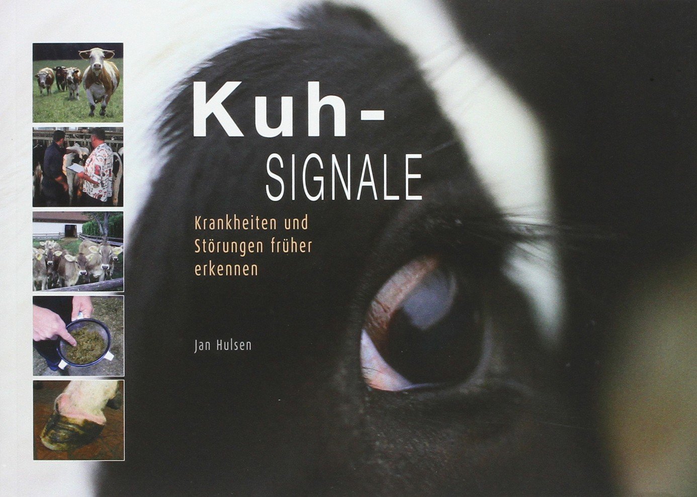 Kuhsignale: Krankheiten und Störungen früher erkennen