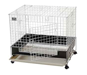 Amazon | KAWAI C・A・T コンフォート 60 | KAWAI C・A・T