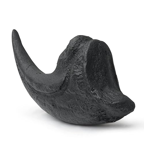 Miniatura 8 de Dientes fosilizados y garras de varios dinosaurios prehistóricos, dientes de tiburón megalodón y réplicas de alta fidelidad (garra de Allosaurus