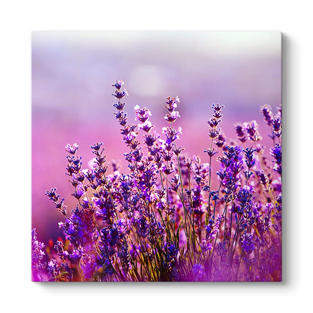 tabloshop Lavanta Çiçekleri Kanvas Tablo 30 x 30