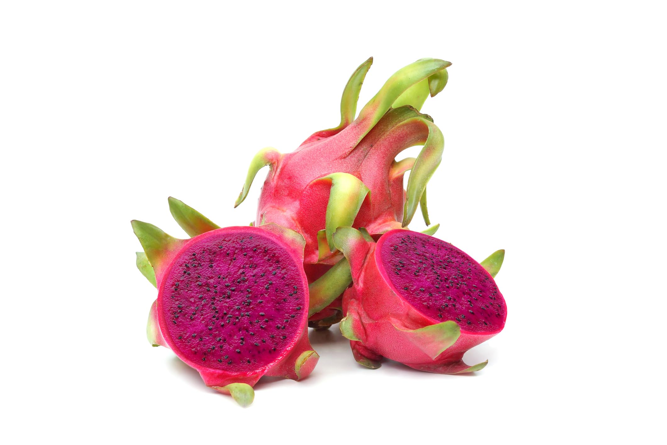 POWERS TO FLOWERS - PITAYA TRIS: GIALLA, A POLPA ROSSA e BIANCA, FRUTTO DEL DRAGO, HYLOCEREUS UNDULATUS, DRAGON FRUIT, 3 PIANTE, piante vere