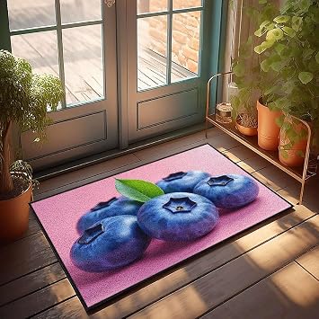 Door Mat Outdoor Entrance Funny Five Blueberries with One Leaf On Top. Doormat Rustic Kitchen Rugs Retro Decor50X80CM