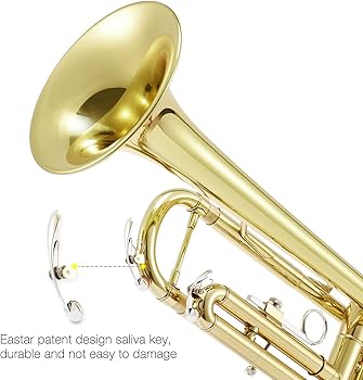 トランペット Eastar 初心者向けセット販売 楽天市場】Eastar トランペット Bb調 Trumpet 初心者 清潔