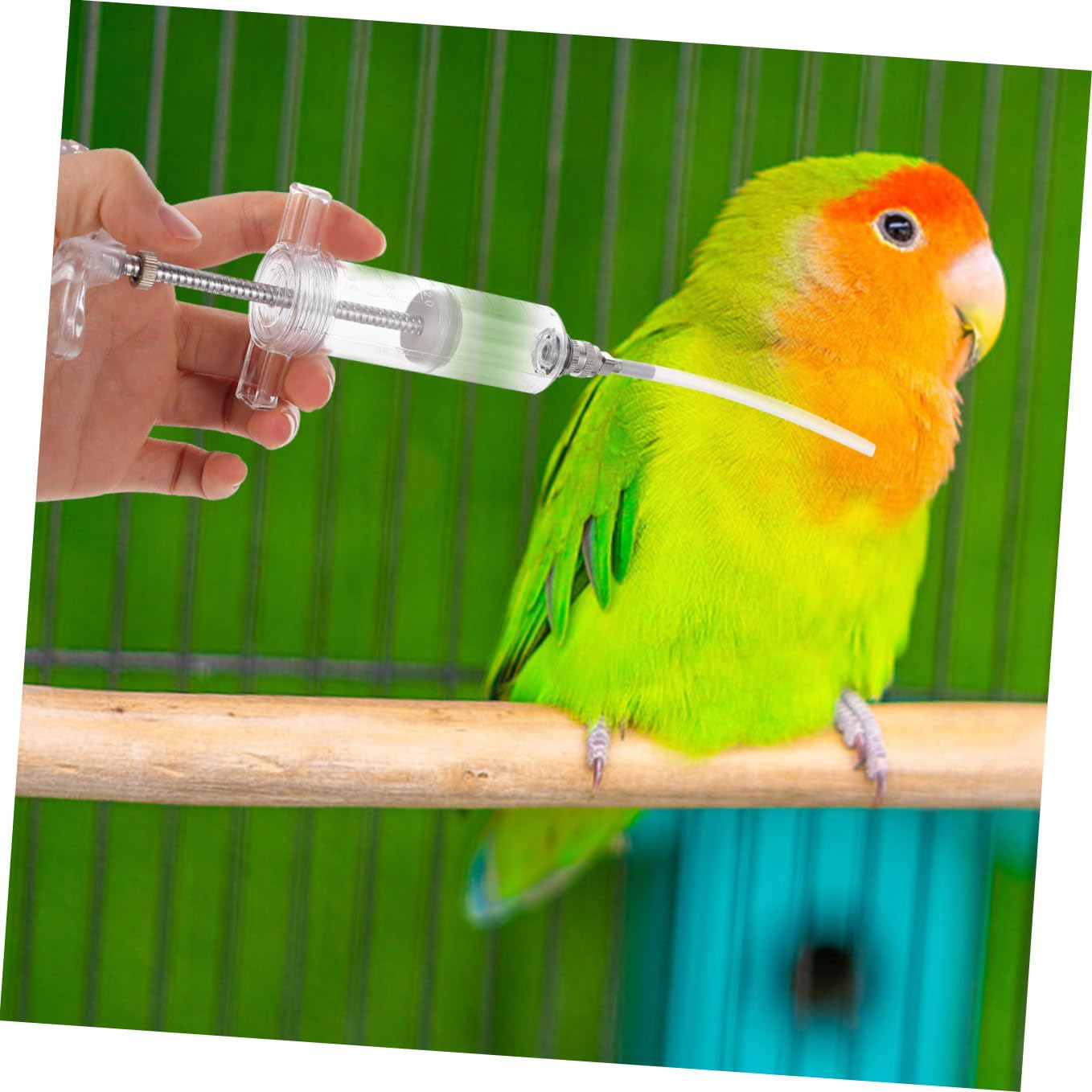 BESPORTBLE 3sets Attrezzature per Nutrire Pulcini e Siringhe per Uccelli Tubo Flessibile e Guarnizioni per Allevatori di Cocorite e Pappagalli