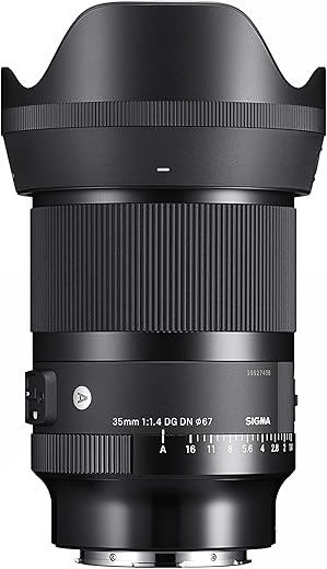 Sigma 35mm f/1.4 DG DN Art Lens for Sony E Mount Mirrorless Cameras (303965) (Black)