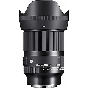 良品 SIGMA 35mm F1.2 DG DN Art / ソニーEマウント Sigma 35mm F1.2 Art DG DN : Amazon.in: Electronics