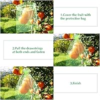 Vista 5 de Kikhope 100 bolsas de protección de frutas, bolsa de malla para cubierta de frutas de jardín de 8 x 6 pulgadas, bolsas de red de frutas con cordón