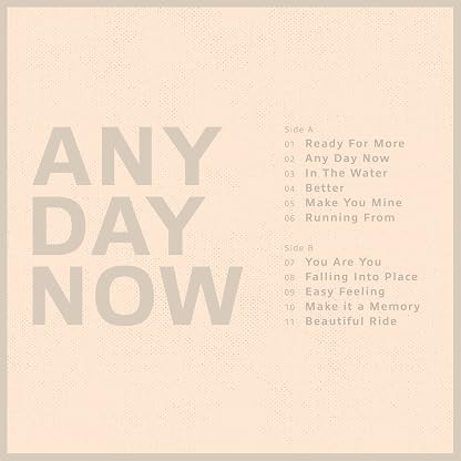 ANY DAY NOW (CRYSTAL CLEAR VINYL) por Krezip — capa do álbum