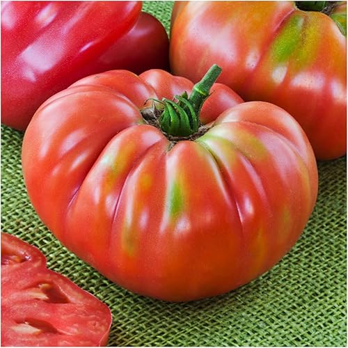 Miniatura 2 de Seed Needs, German Johnson Semillas de tomate – 80 semillas tradicionales para plantar Solanum lycopersicum – Variedad indeterminada sin OMG y sin