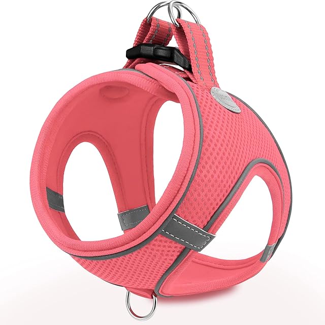 Joytale Step in Dog Harness,Soft Mesh Reflective Breathable Vest Harnesses,Easy Walk Harness with Safety Buckle for Cat,Puppies and Extra Small Dogs,XXS,Pink