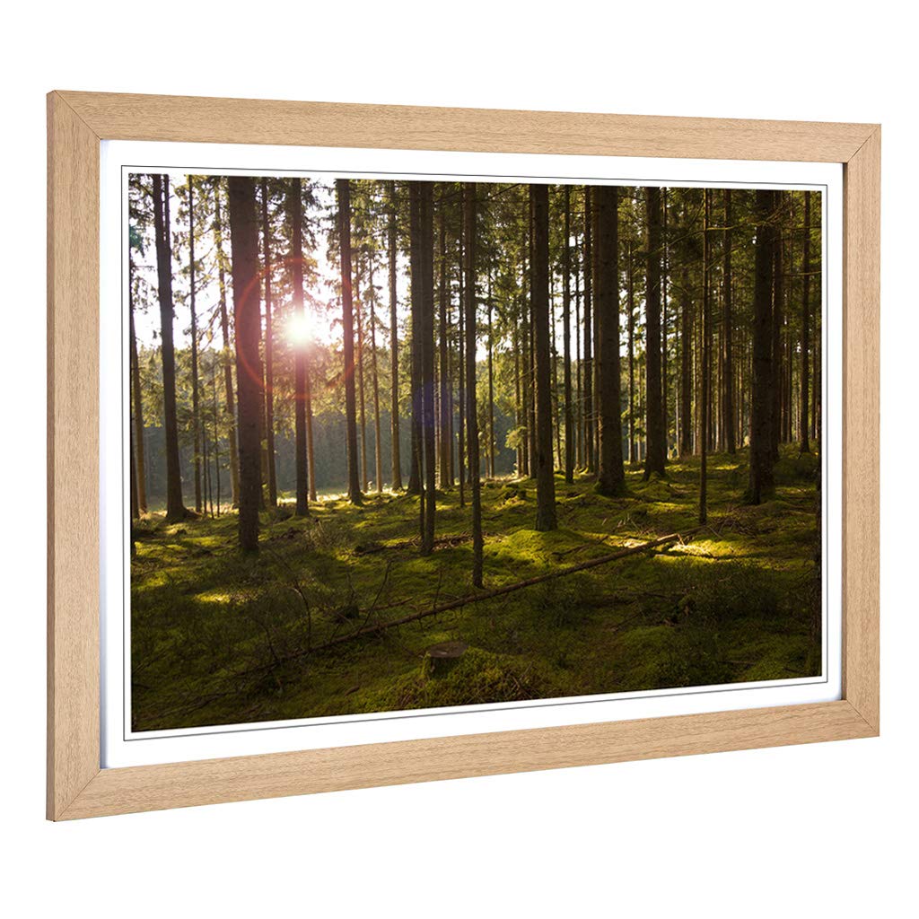 Big Box Art Framed Print of Landscape Sunlight Through Forest Woodland (3) Design | Wall Art Picture| Home Decor for Kitchen, Living Room, Bedroom, Hallway, Oak, A2 / 24.5x18 Inch / 62x45cm