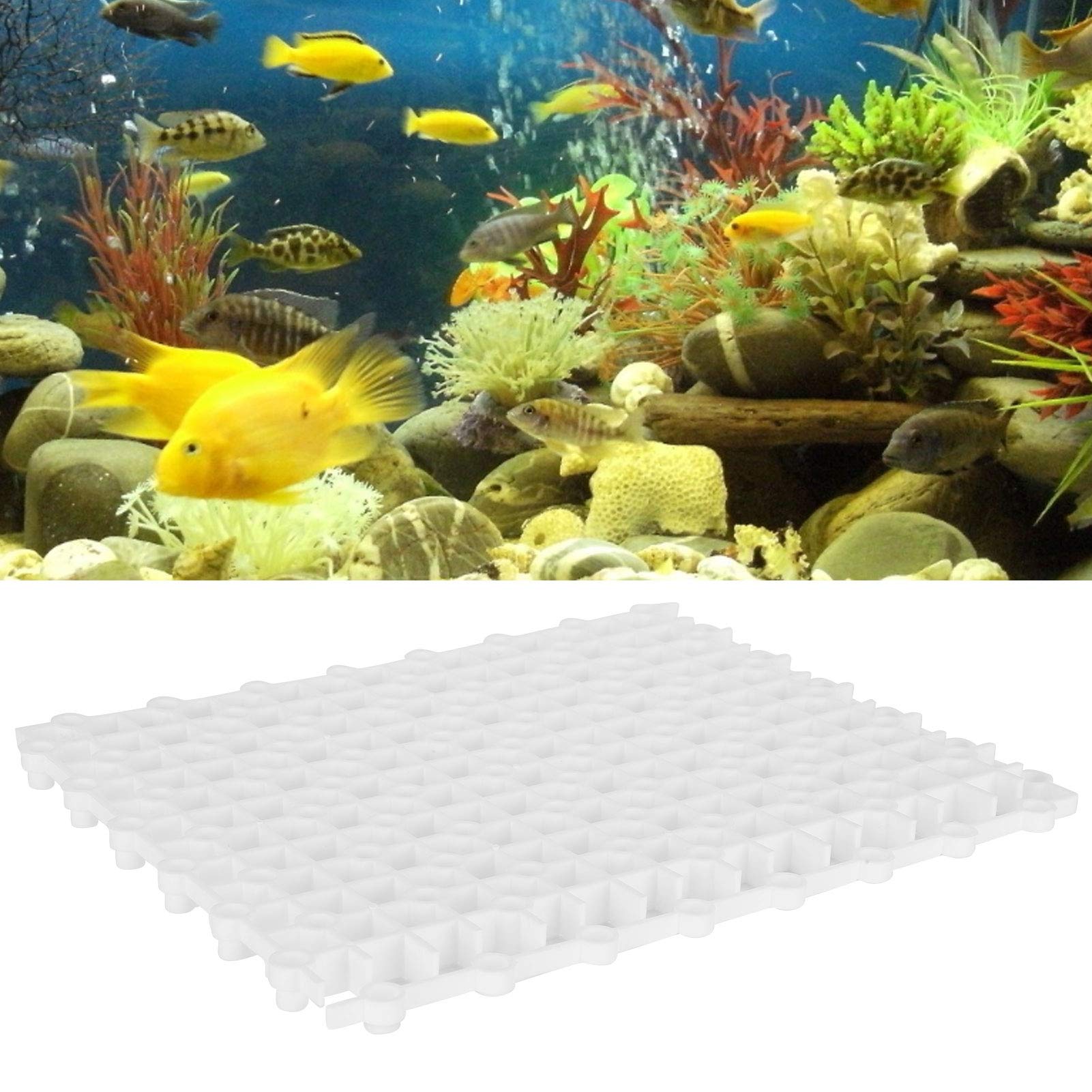 10 Stück Aquarium-Multifunktions-Isolationsbrett, Teiler, Bodenfilterplatte (Weiß)