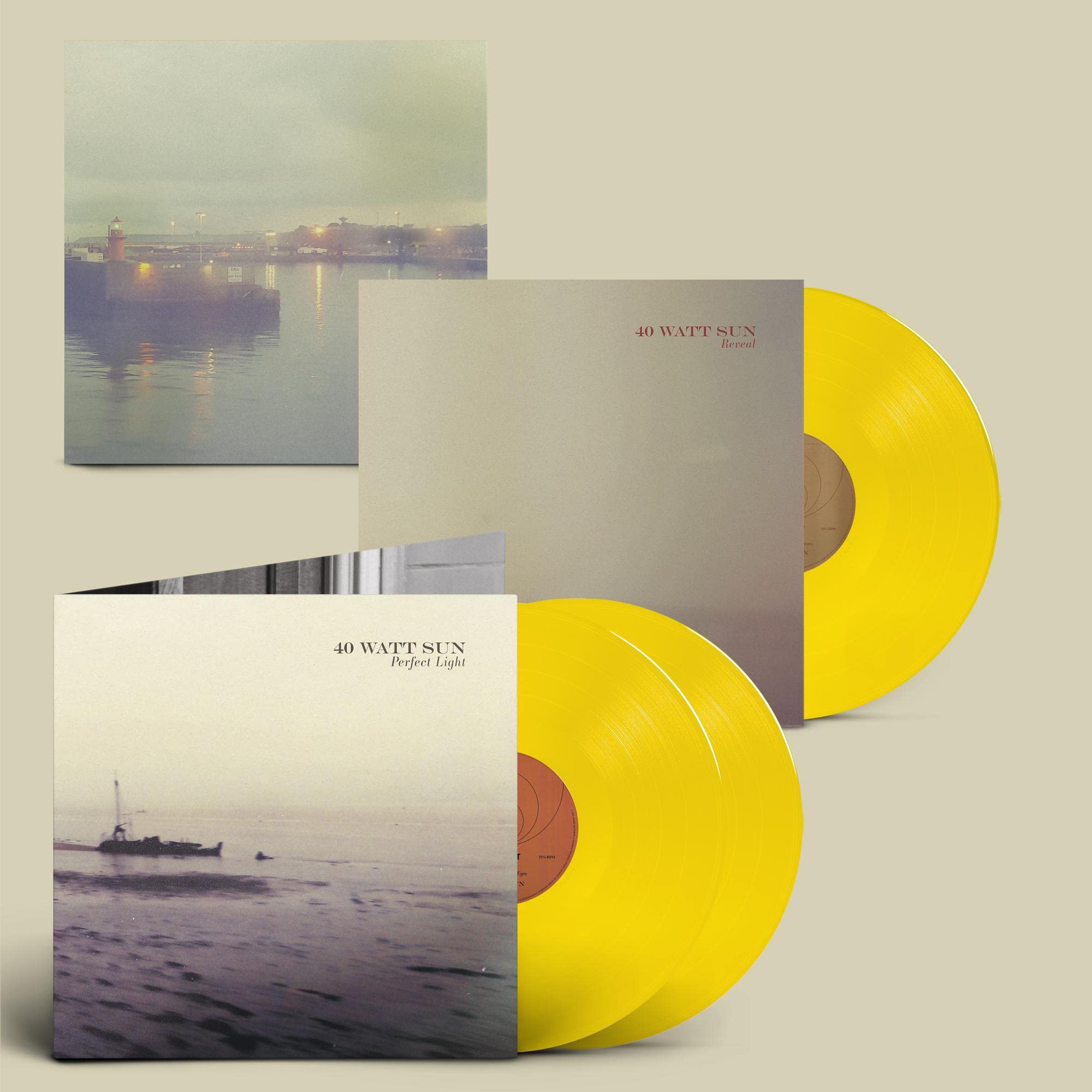 A Perfect Light [VINYL]