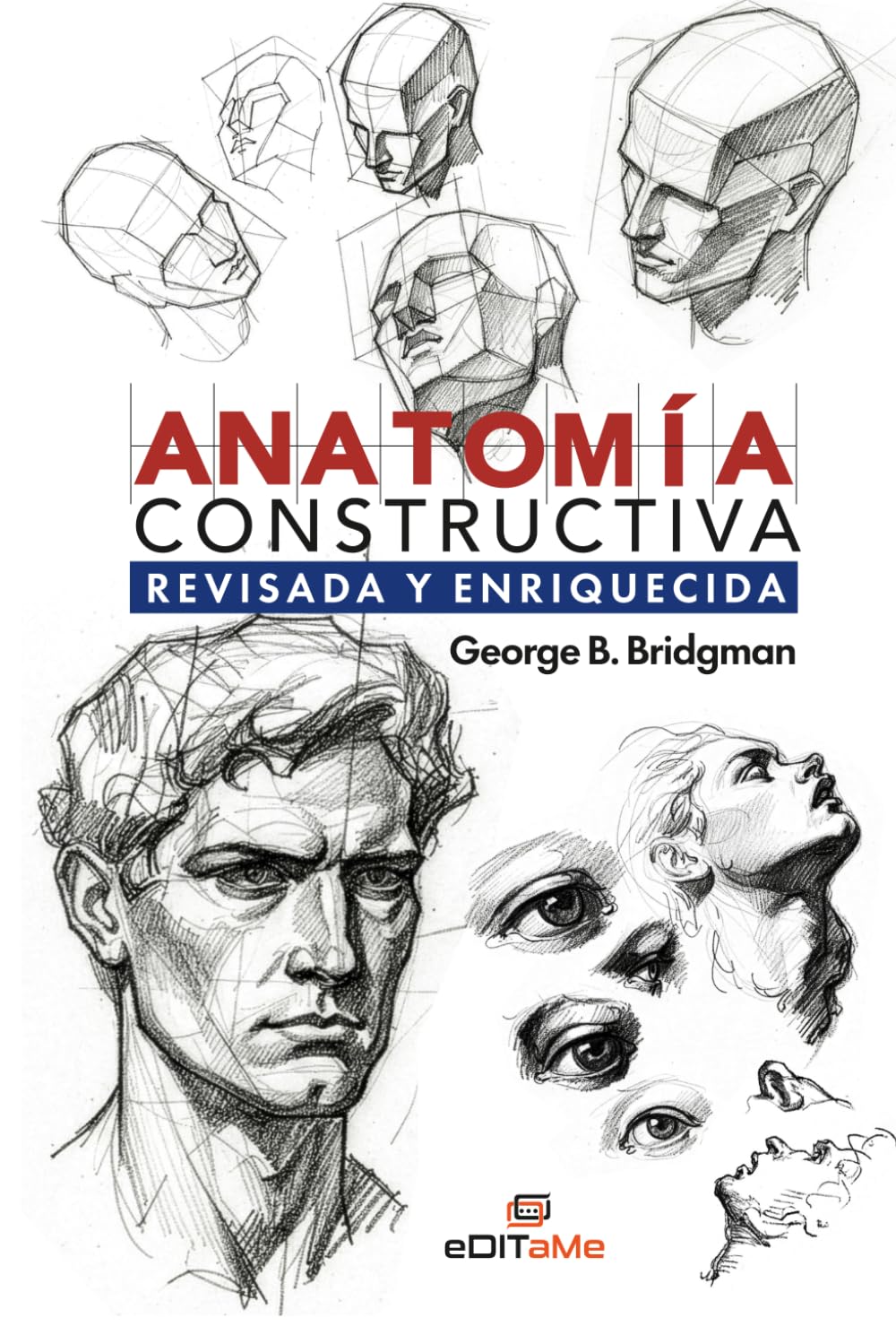 Anatomía Constructiva. Revisada y Enriquecida (Spanish Edition)      Paperback – December 9, 2025
