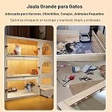Ver la foto 2
