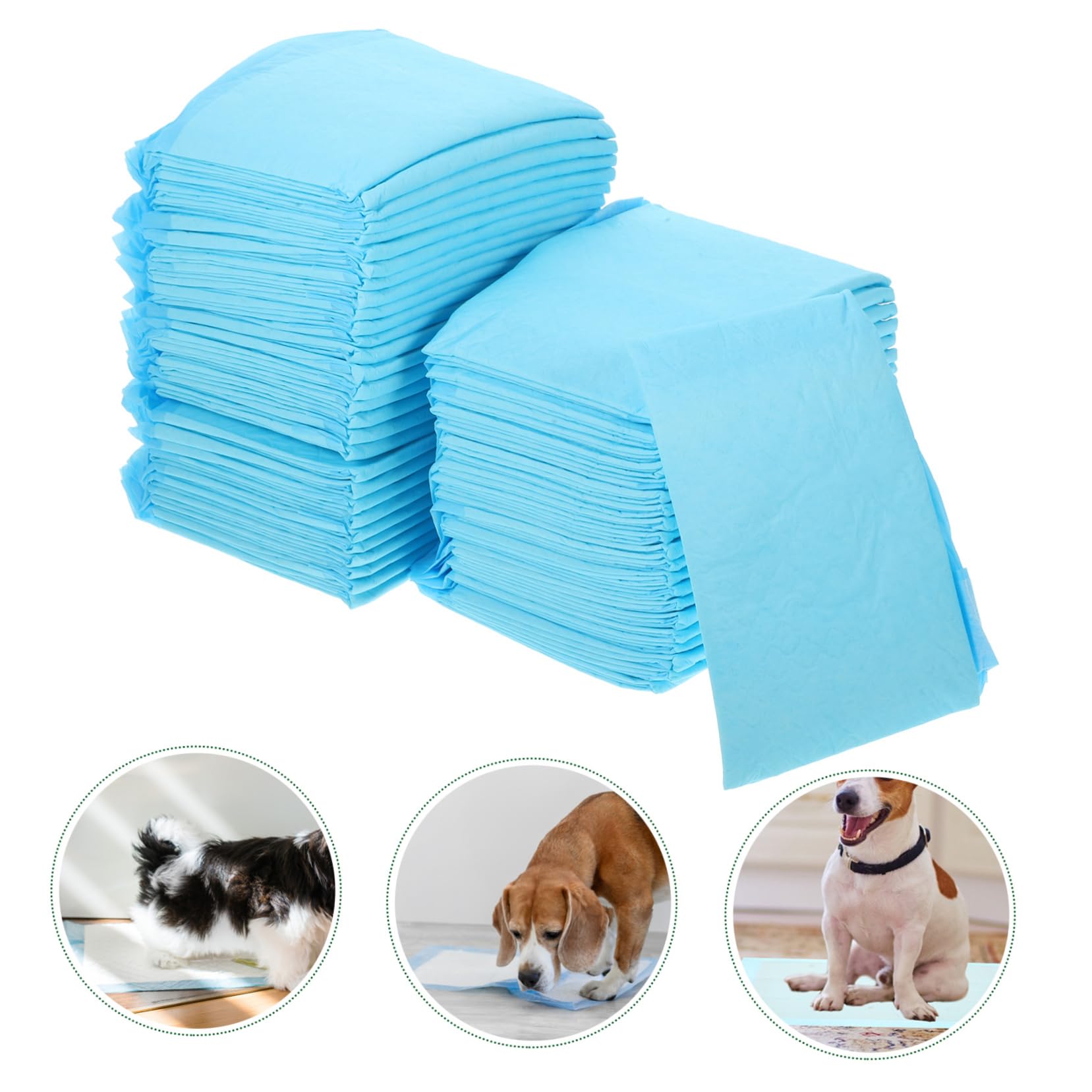 100 Pièces, Absorbants pour Pipi De Chiot, D'entraînement pour Pipi De Chaton À Usage Unique, D'entraînement pour Chien