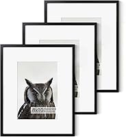 Vista 661 de Fun Memories Portarretratos de metal de 16 x 20 pulgadas con paspartú de 11 x 14 pulgadas, acabado de aluminio cepillado, parte delantera de vidrio
