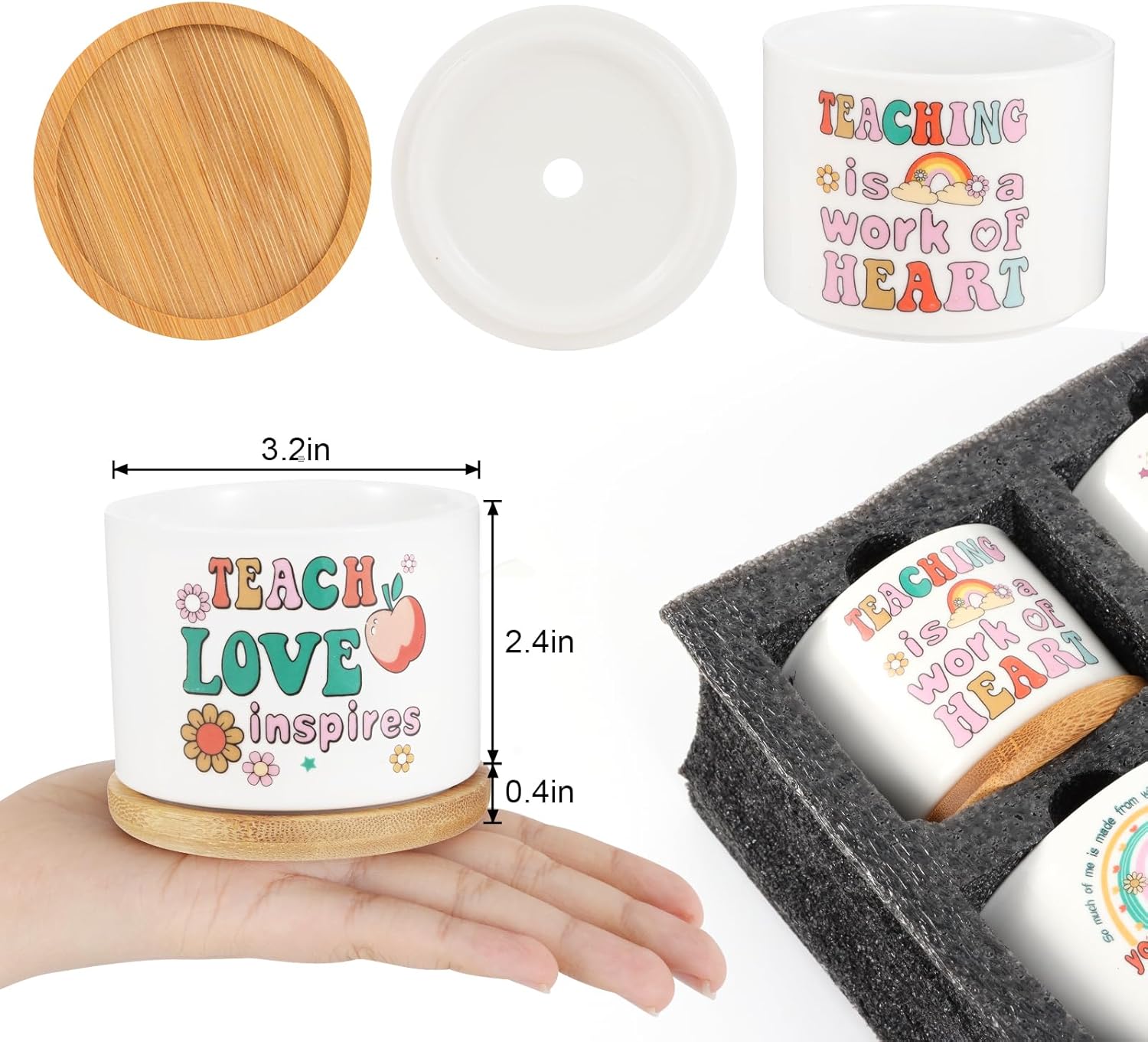 SAIWEILAI ONLINE 9Pcs Teacher Appreciation Gifts Teacher Flower Style Succulent Plant Pot Succulent Accessories for Teacher Women Birthday Gift Plants Not Included