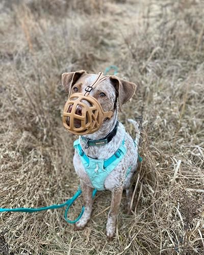 Vista 31 de Bozal para perro, bozal impreso para perros pequeños, medianos y grandes, perro salchicha, beagle, pastor alemán, bozales transpirables
