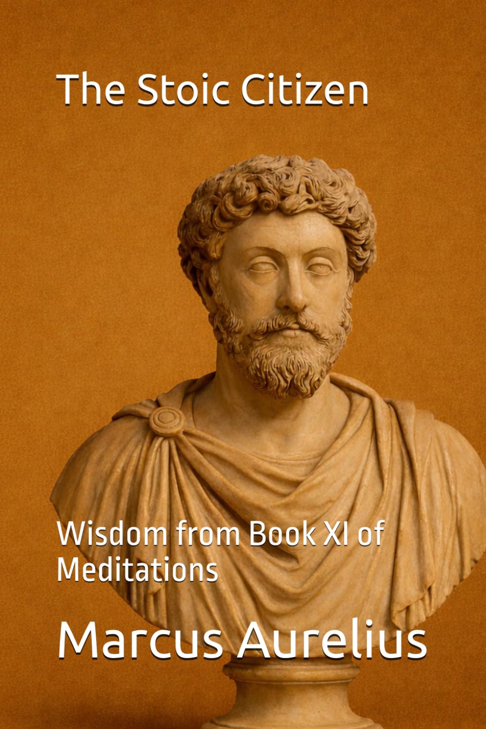 The Stoic Citizen: Wisdom from Book XI of Meditations (Modern Stoic Wisdom)