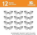 KLEENGUARD Unisex V30 NemesisGlasses