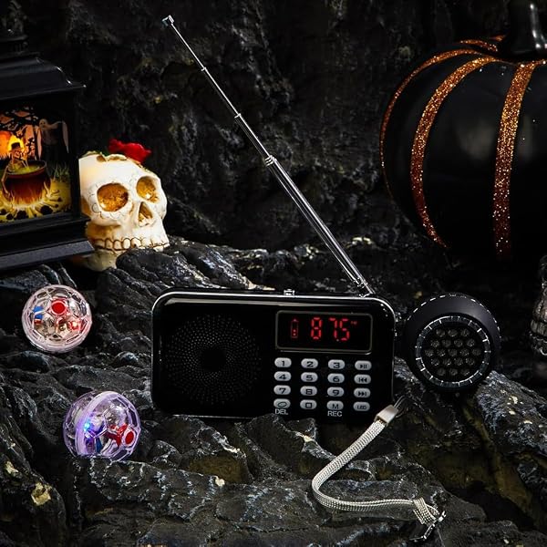 Spirit Box Equipment Kit with2 LED Cat Ball 1 Spirit Box Speaker Paranormal Equipment Kit Outdoor - 3