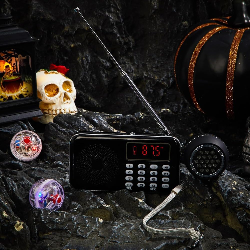 Spirit Box Kit Attrezzature con 2 LED Cat Ball 1 Spirit Box Altoparlante Paranormale Attrezzature Kit Ufficio Esterno