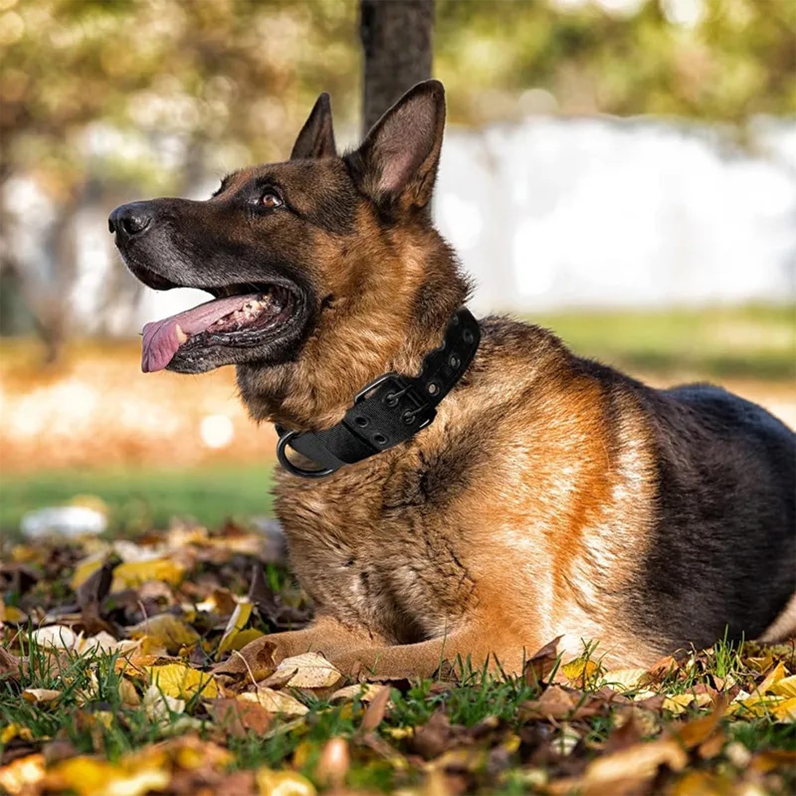 Personalisiertes, taktisches Hundehalsband mit Namens- und Nummeraufnähern, strapazierfähiges, individuelles Halsband mit 2-poliger Metall-Gürtelschnalle und Griff für mittelgroße und große Hunde