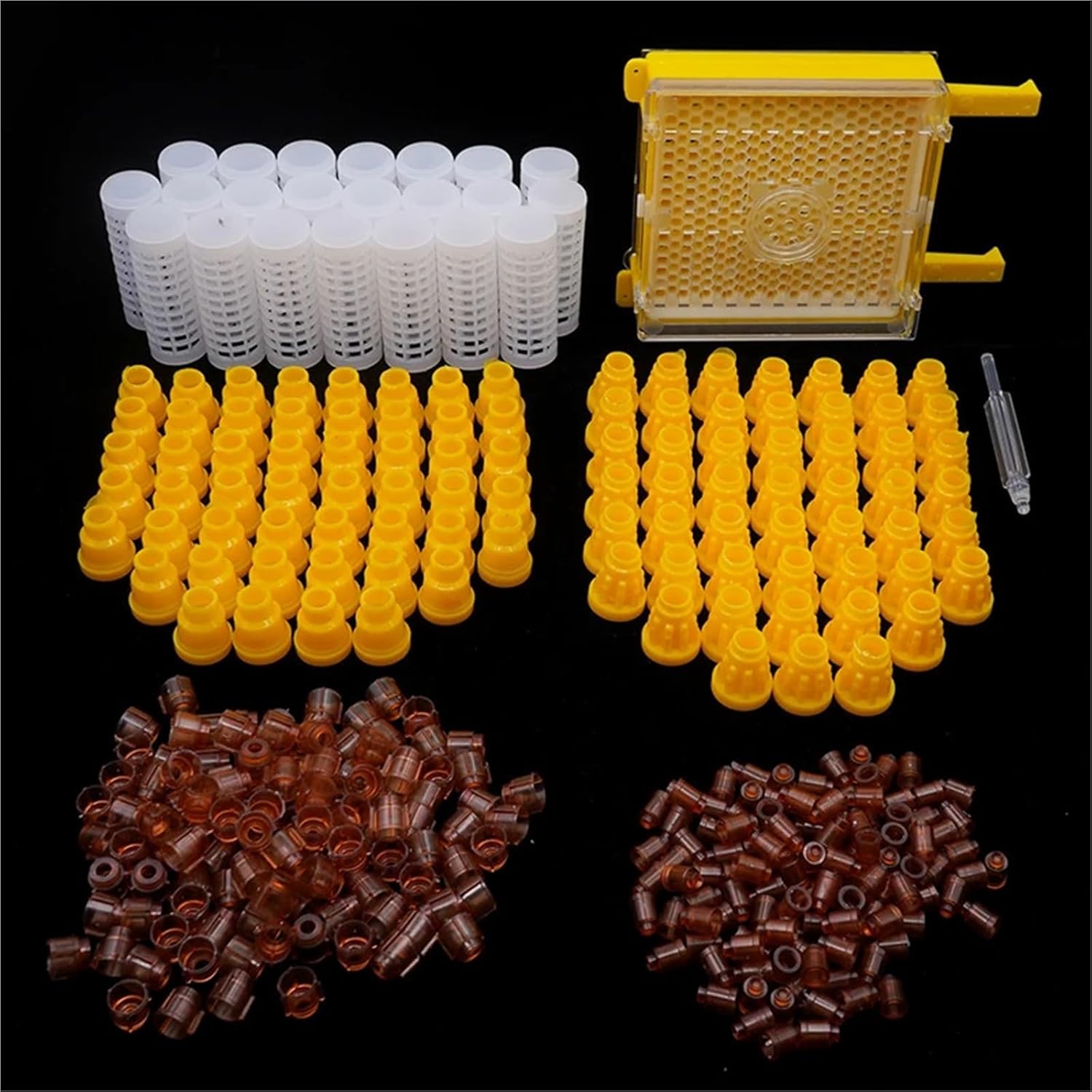 Bee Rearing Kit Bee Queen Rearing Kit Complete Jenter Apiculture Tools for Beekeeping Box Cage Holder Plastic Cell Cups Breeding System 1 Set for Beginners and Bee Keeper