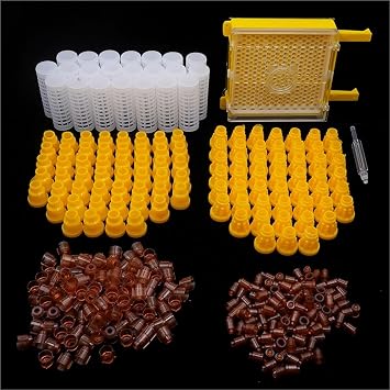 Bee Rearing Kit Bee Queen Rearing Kit Complete Jenter Apiculture Tools for Beekeeping Box Cage Holder Plastic Cell Cups Breeding System 1 Set for Beginners and Bee Keeper