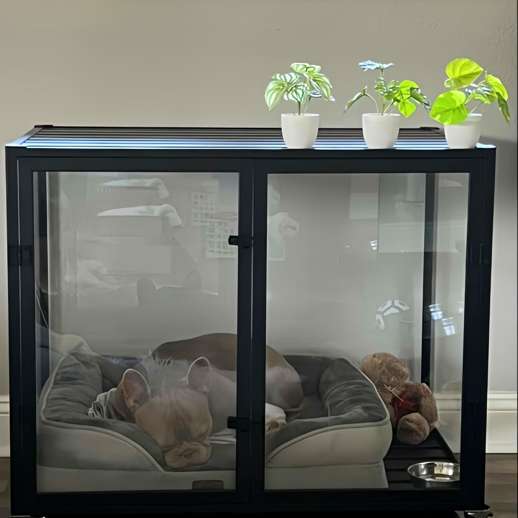 BingoPaw Hundekäfig Möbel Hundebox Indoor: Hundeboxen im Möbelstil aus Aluminium und gehärtetem Glas, Modern Hundehaus für kleine Hunde bis 50kg, M: 76x58.5x66.5 cm, schwarz
