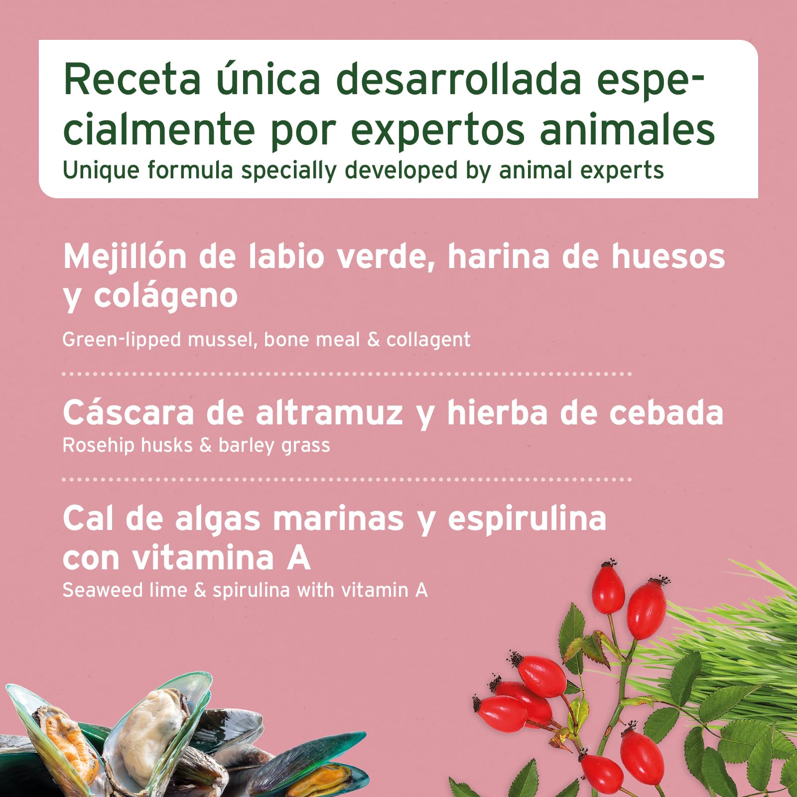 AniForte Junior Active para Cachorros y Perros jóvenes 250g - para el Desarrollo de Huesos, tendones, ligamentos y Dientes. Suplemento para Cachorros con Calcio, vitaminas y minerales