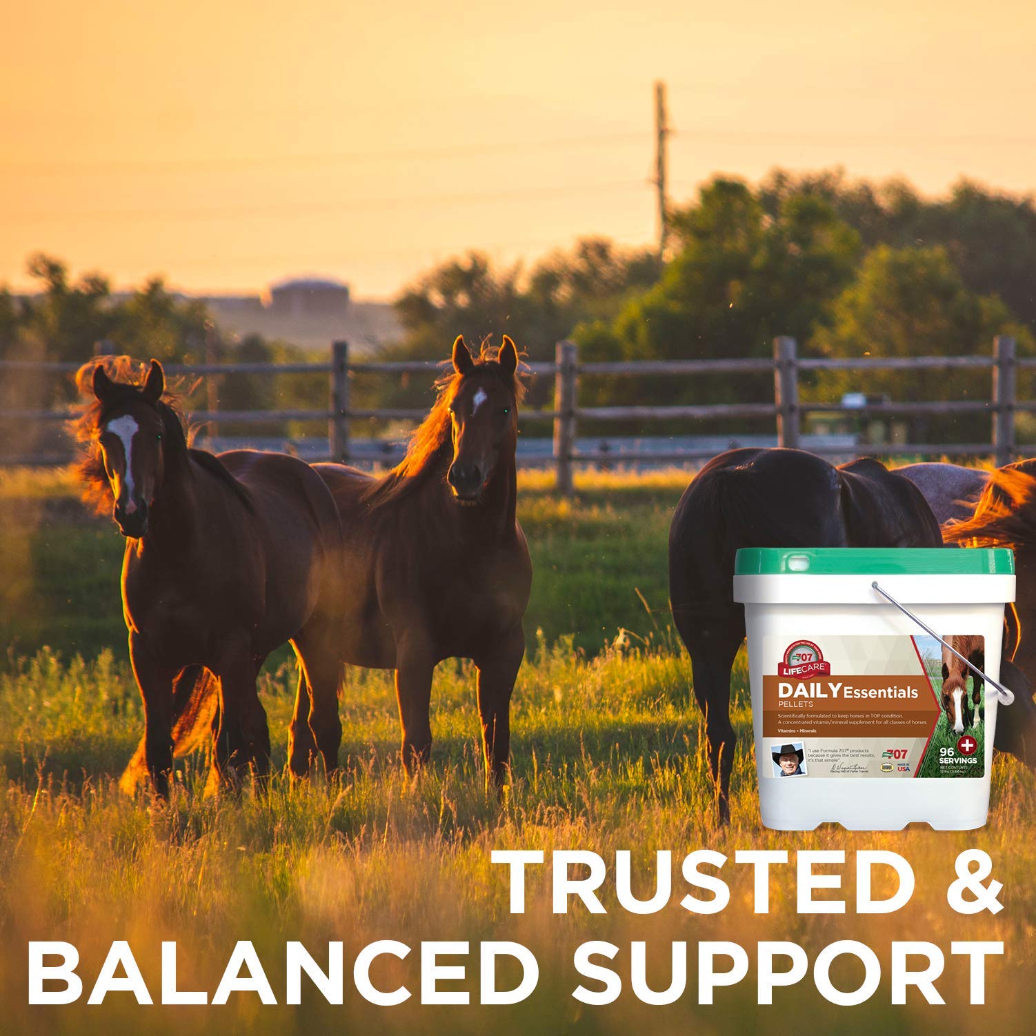 Formula 707 Daily Essentials Equine Supplement, 6lb Bucket Complete Vitamins and Minerals for