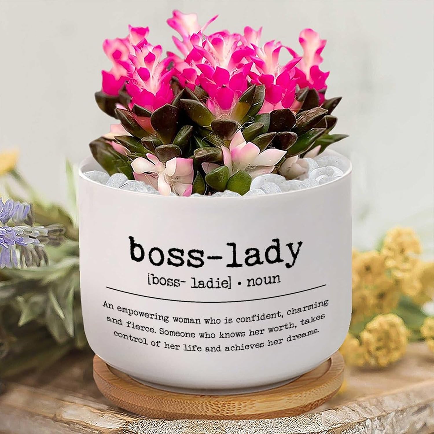 3 Piece Boss-Lady Definition Small Pot for Flowers Dictionary Definition Cactus Pot for Indoor with Drainage Bamboo Trays Boss-Lady Ceramic Planter Birthday Gift to Friend