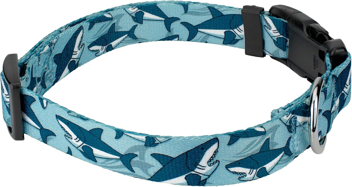 Country Brook Petz - Sharks Everyday Dog Collar and Leash - Critter Corner Collection Featuring Creature Themed Designs (1 Inch, Large)
