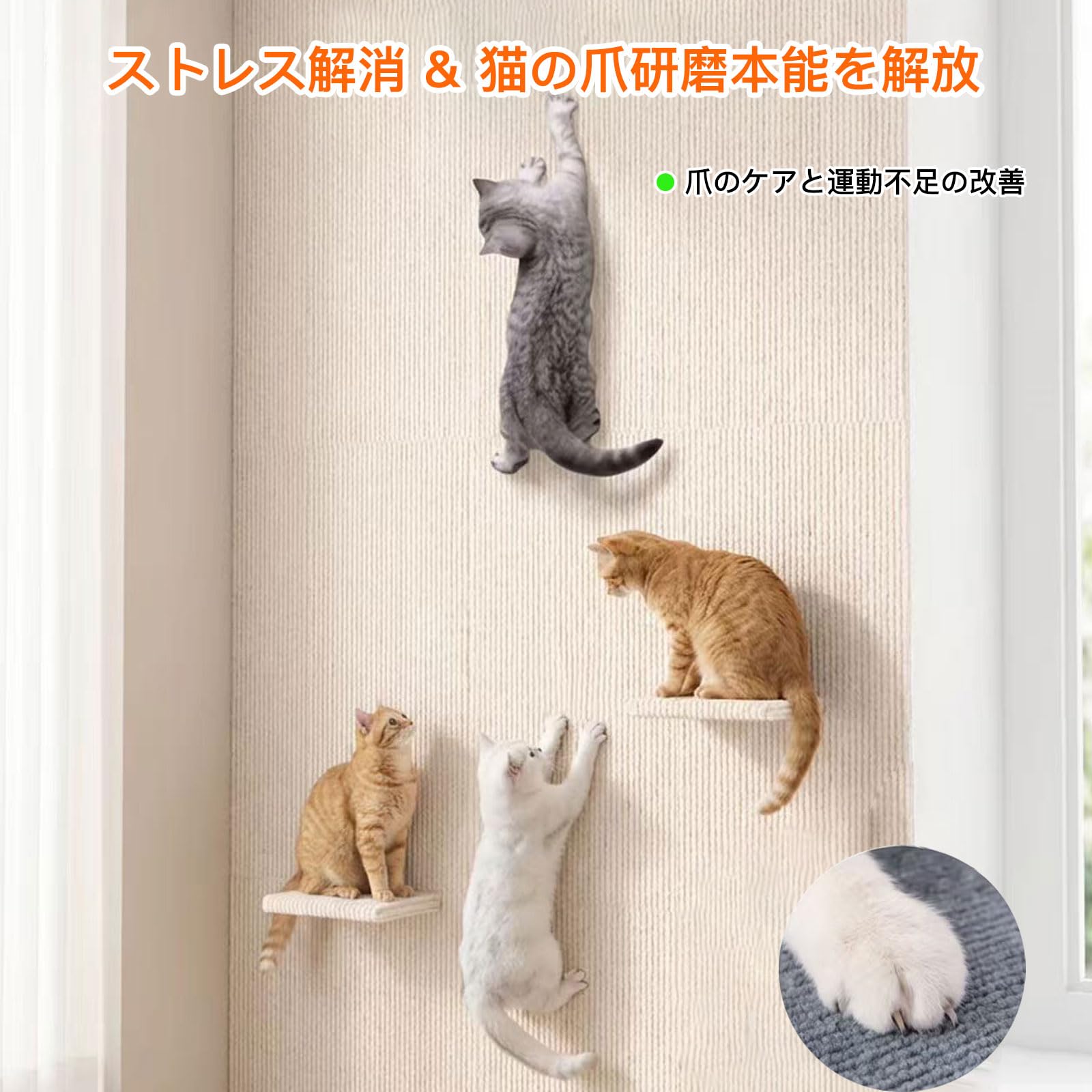 Amazon.co.jp: CAOSYE Nail Sharpening Sheet for Cats, Freely DIY