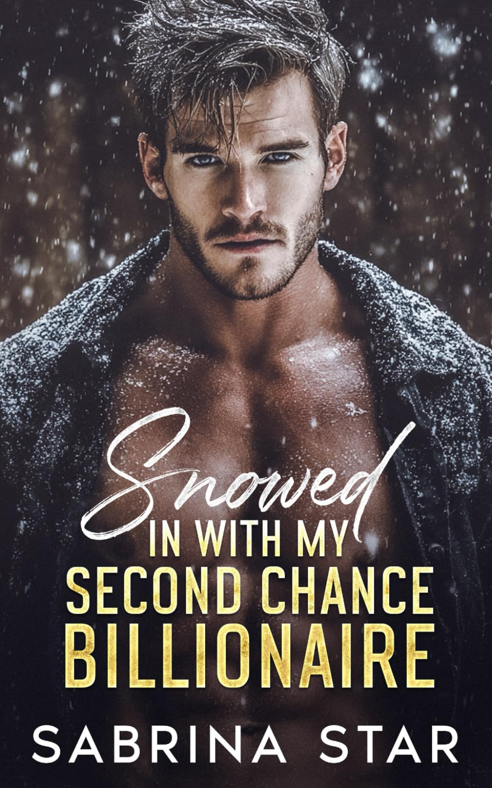 Snowed In With My Second Chance Billionaire: An Enemies-To-Lovers Fake Marriage Romance