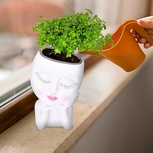 Miniatura 6 de Noa Store Macetas faciales - Macetas blancas - Resina - Regalo para familiares amigos - 4.7x5.1x7.3 in