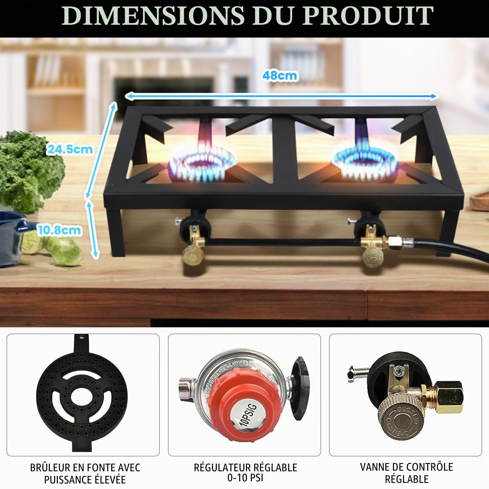 Cuisinière à Gaz Portable en Fonte, Double Brûleur avec Récupérateur de Chaleur, 16000W, Noir