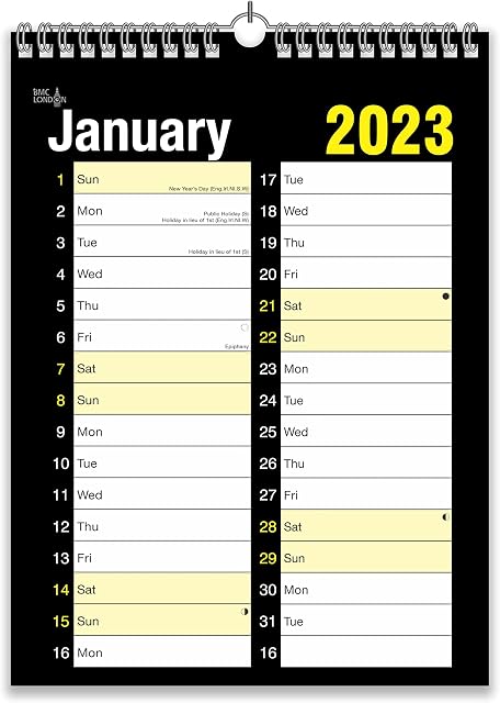 2023 Calendar and Planner Month To View/Week to View (A4 Extra Wide 2 Column Month To View)